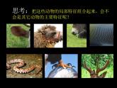 人美版美術(shù)七年級(jí)上冊3 大家動(dòng)手做條龍課件