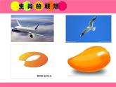 人美版美術(shù)七年級上冊4.  生肖的聯(lián)想課件