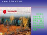 人美版美术七年级上册6.  大自然的色彩(1)课件
