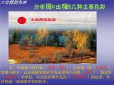 人美版美术七年级上册6.  大自然的色彩(1)课件