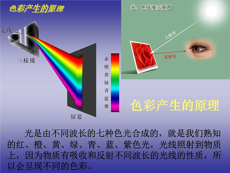 人美版美术七年级上册6.  大自然的色彩(1)课件08