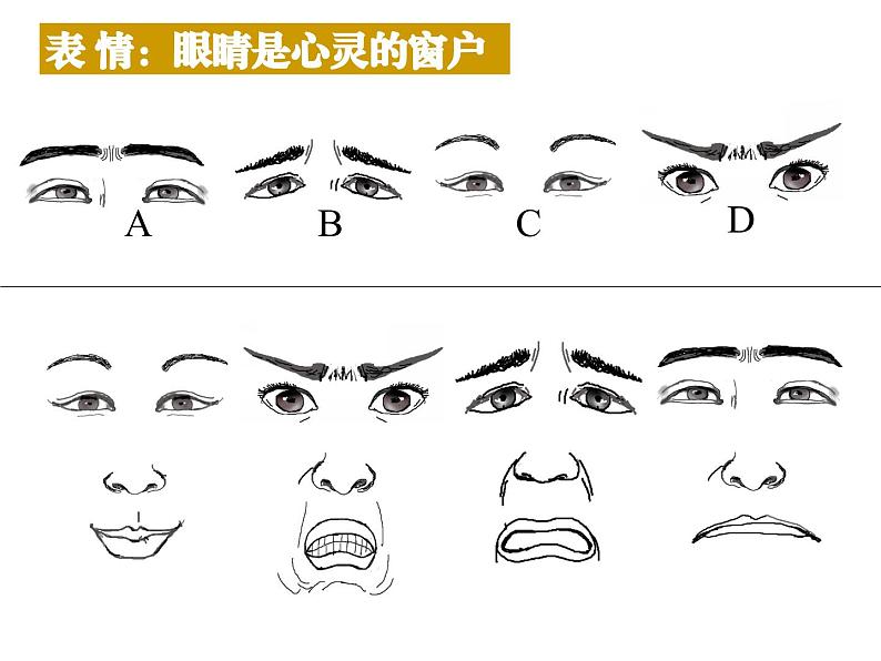 人教版七年级美术上册  第三课《小伙伴》ppt课件第8页