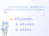第五課 靜物畫有聲 課件 2024-2025 學(xué)年湘美版初中美術(shù)八年級上冊