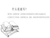 人美版九年級(jí)上冊(cè)3.速寫(xiě)練習(xí) 課件