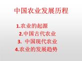 人教版美術(shù)七年級(jí)上冊(cè) 第一單元 第一課　富于創(chuàng)造力的造型藝術(shù)(10) 課件