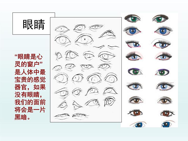 人教版美术七年级上册 第二单元 第一课　小伙伴-傅闰冰 课件08