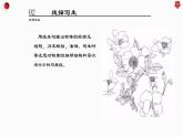 人教版初中美術(shù)｜八下·設(shè)計(jì)紋樣 (10)課件