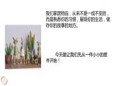 人教版美术八年级下册摆件巧安排 (3)课件