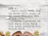 第1课 富于创造力的造型艺术 课件 人教版初中美术七年级上册