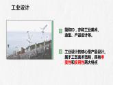 第五单元 实用又美观的日用产品 课件 人教版初中美术七年级上册