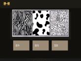初中美術 黑白裝飾畫 (3)課件