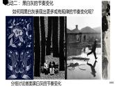 初中美术 装饰画课件