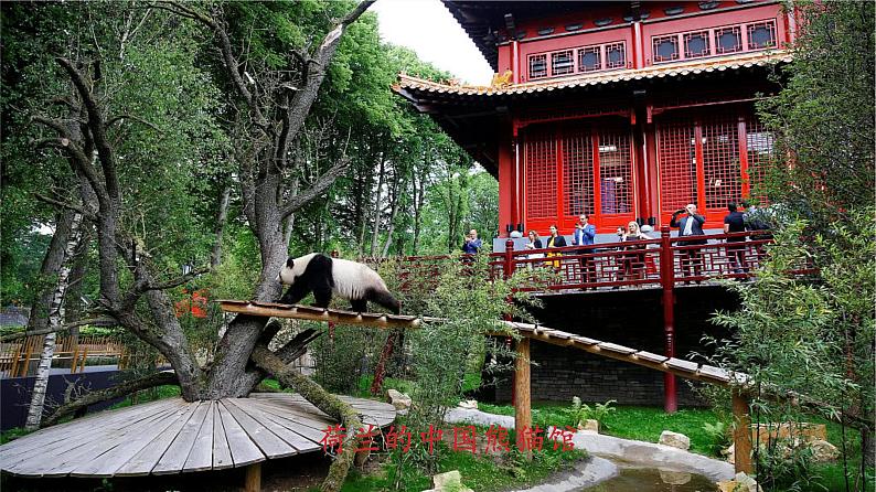 第五单元 移步换景 别有洞天——中国古典园林欣赏课件05