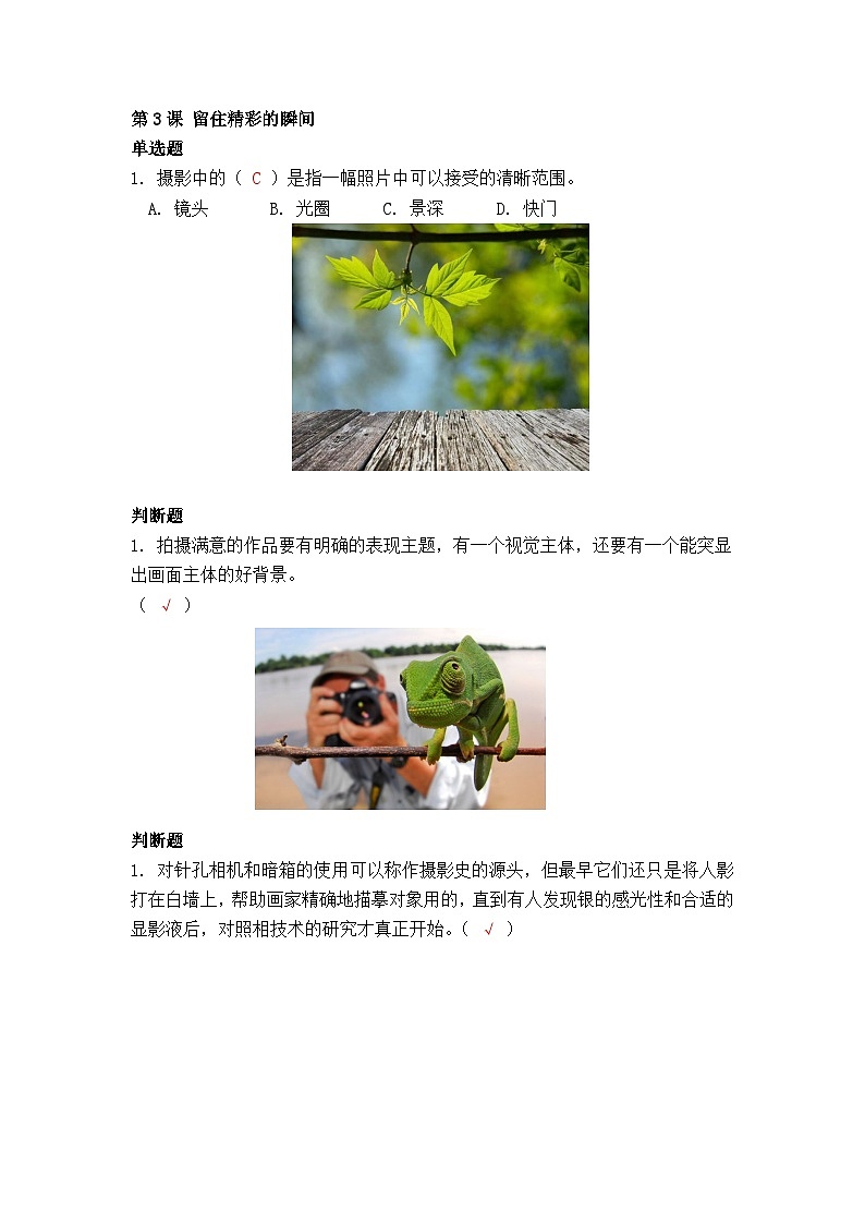 第3课 留住精彩的瞬间（习题）第1页