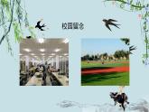 人教版初中美術九年級下冊第五單元 留下眷戀帶走真情課件