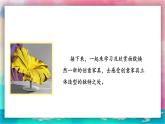 【嶺南版】九上美術(shù)  第11課 富有創(chuàng)意的家具（教案+課件）