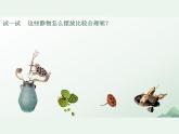 第一單元第3課　構(gòu)圖的作用　課件　2024—2025學(xué)年人教版初中美術(shù)八年級(jí)上冊(cè)