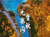 人美版初中美术七年级上册第二单元第1课《自然的色彩》课件