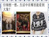 第二單元第2課 《設(shè)計紋樣》 課件  2023—2024學(xué)年人教版初中美術(shù)八年級下冊
