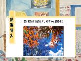 2.5 情感的记录 - 初中美术七年级上册 同步教学课件+教案+教学设计（苏少版2024）