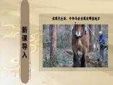 3.7 耕牛·战马 - 初中美术七年级上册 同步教学课件+教案+教学设计（苏少版2024）