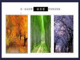 4.11 变迁中的家园 - 初中美术七年级上册 同步教学课件+教案+教学设计（苏少版2024）
