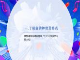 第14课鱼形启巧思 课件 2024—2025学年岭南美版（2024） 初中美术七年级上册