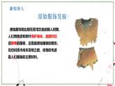 第3课 赏服饰知礼仪 课件2024—2025学年岭南美版 （2024）初中美术七年级上册