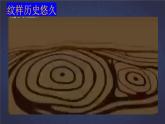 第二單元第二課《設(shè)計紋樣》教學(xué)課件-2023-2024學(xué)年人教版八年級美術(shù)下冊