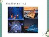 人教版新教材4.1人教版七年級(jí)上冊(cè)《身臨其境》課件