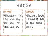 人教版美術(shù)九年級上冊第2單元第4課《蠟染與扎染》教學(xué)課件+同步教案