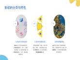 第二單元《6.形色相隨》課件-2024-2025學(xué)年初中美術(shù)七年級下冊  浙美版（2024）
