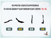 第五單元第1課《點畫之美》課件-2024-2025學年初中美術七年級下冊 湘美版（2024）