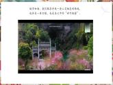 【核心素養(yǎng)優(yōu)質(zhì)課】人美版美術(shù)七年級下冊第3單元第2課《和諧的環(huán)境》（課件+大單元教學(xué)設(shè)計）