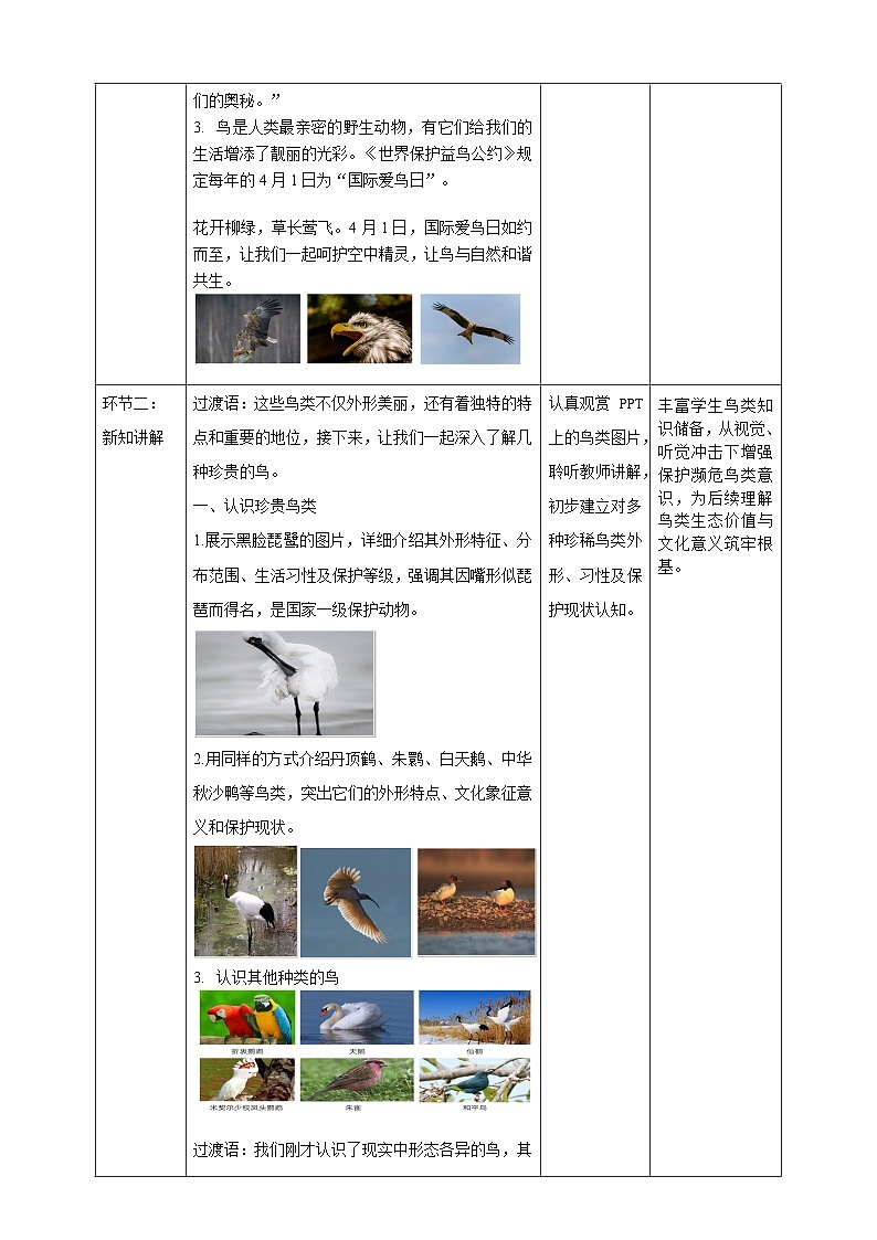 第11课《自由飞翔之鸟》核心素养教学设计第2页