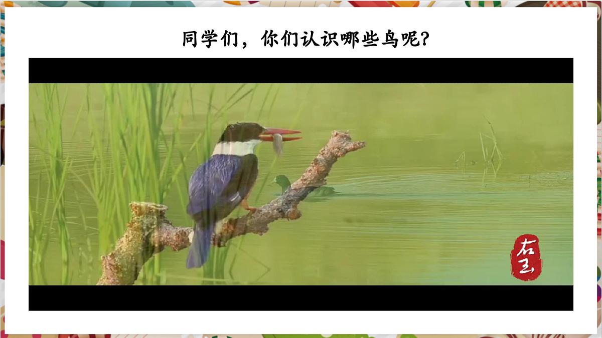 第11课《自由飞翔之鸟》精美课件（30页）第2页