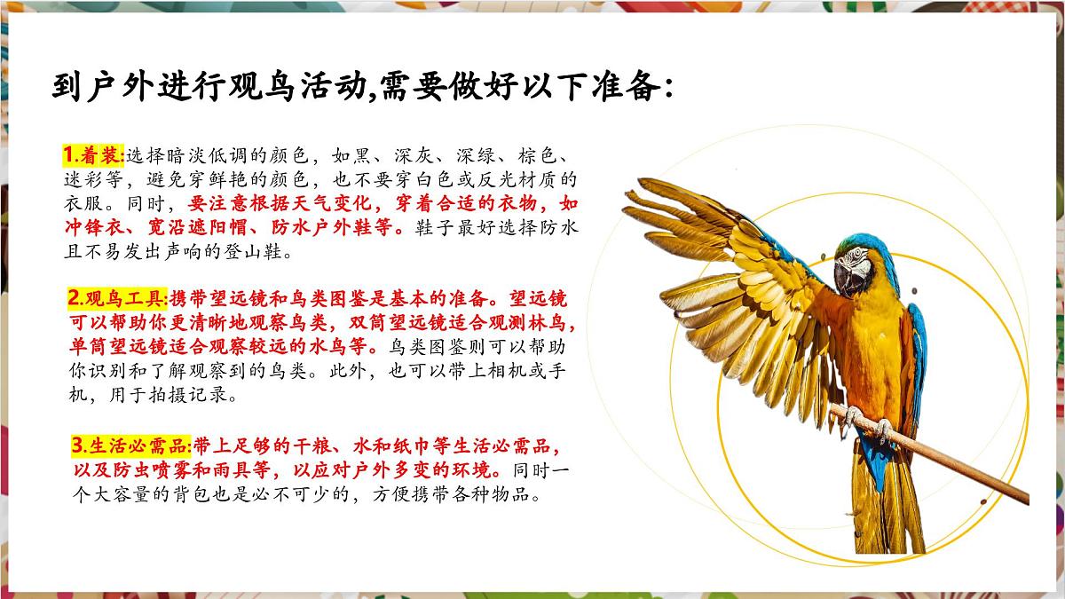 第13课《爱鸟护鸟之情》 精美课件（37页内嵌多个视频）第5页