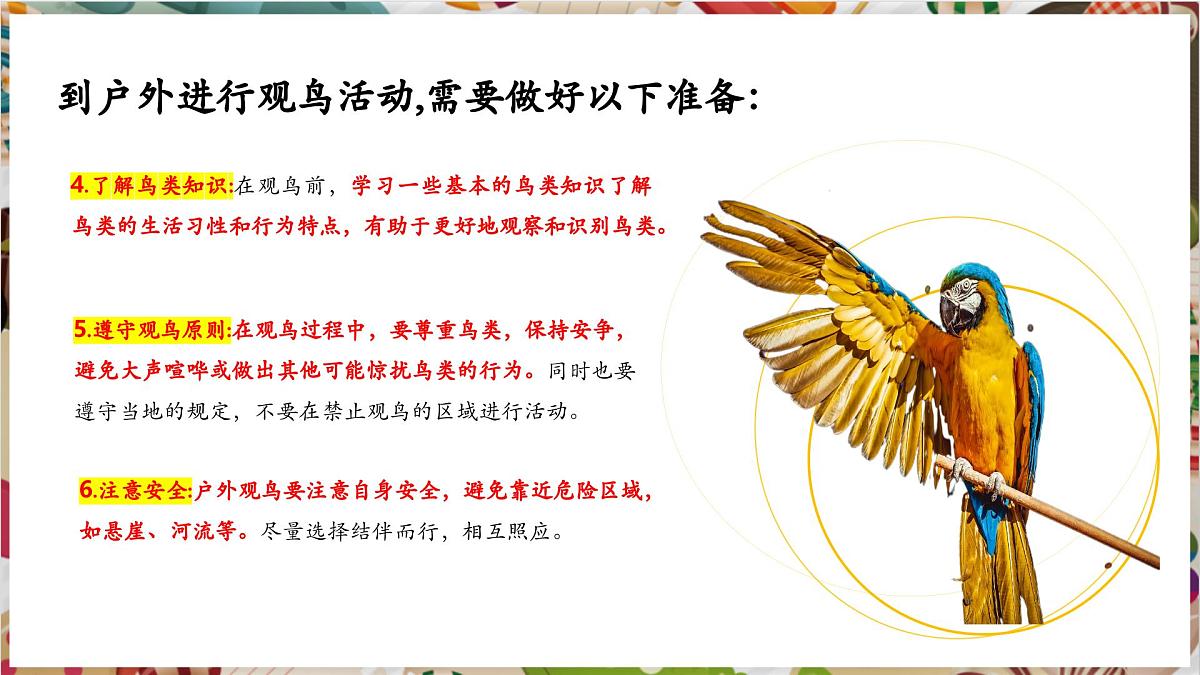 第13课《爱鸟护鸟之情》 精美课件（37页内嵌多个视频）第6页
