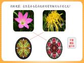 湘美版（2024）美術(shù)七下 第二單元第一課《花卉的秘密》課件