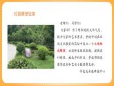 湘美版（2024）美術(shù)七下 第三單元第三課《空間中的形與色》課件