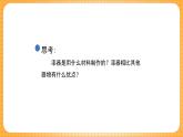 浙美版（2024）美術(shù)七下 4.9《漆器》課件+教案