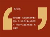 人教版初中美術(shù)八年級上冊第一單元3《構(gòu)圖的作用》ppt課件