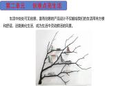 第二單元 創(chuàng)意點(diǎn)亮生活 課件 2025-2026學(xué)年湘美版（2024）美術(shù)七年級上冊