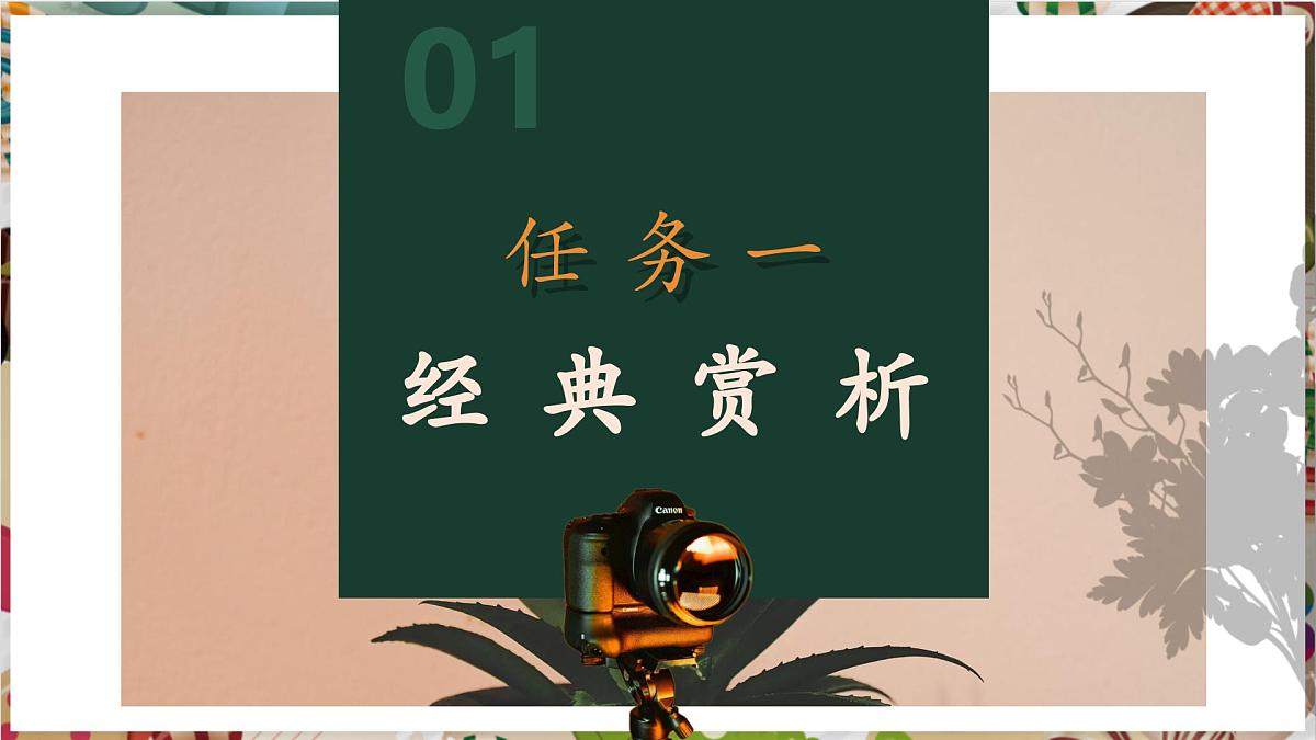【大单元教学】5.1第五单元《光影传情》第1课—捕捉光影 精品课件（38页）第7页