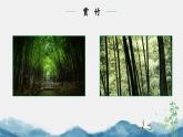 初中  美術(shù)  湘美版（2024）  八年級(jí)上冊(cè)第2課《梅竹言志》第2課時(shí)畫竹課件