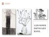 4.2初中  美術(shù)  湘美版（2024）  八年級(jí)上冊(cè)第四課用畫筆觸摸細(xì)節(jié)（第二課時(shí)）課件