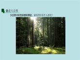 第二單元第1課 自然的色彩 課件-2025-2026學(xué)年初中美術(shù)七年級(jí)上冊(cè)（人美版2024）