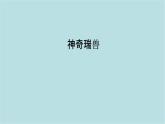 第三單元第2課 神奇瑞獸 課件-2025-2026學(xué)年初中美術(shù)七年級(jí)上冊(cè)（人美版2024）