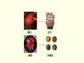 第五單元第3課非遺“潮”起來 課件-2025-2026學(xué)年初中美術(shù)七年級上冊（湘美版2024）