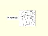 第一單元第1課我們走在大路上 課件-2025-2026學(xué)年初中美術(shù)七年級上冊（湘美版2024）